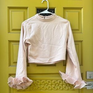 Zara Light Pink Blouse with Ruffle Sleeves